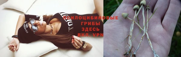 сатива Балабаново