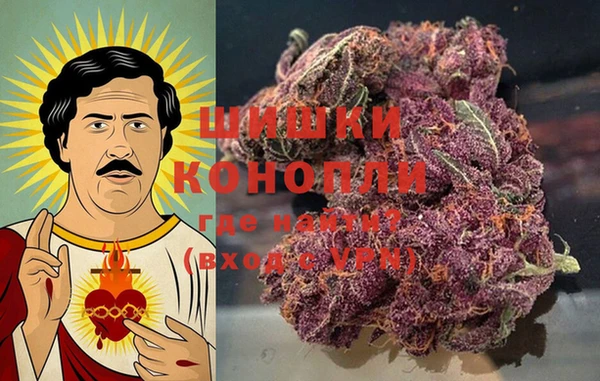 сатива Балабаново
