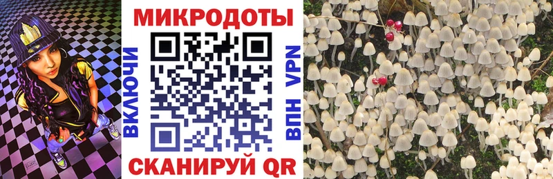 Псилоцибиновые грибы прущие грибы  где купить   Урус-Мартан 